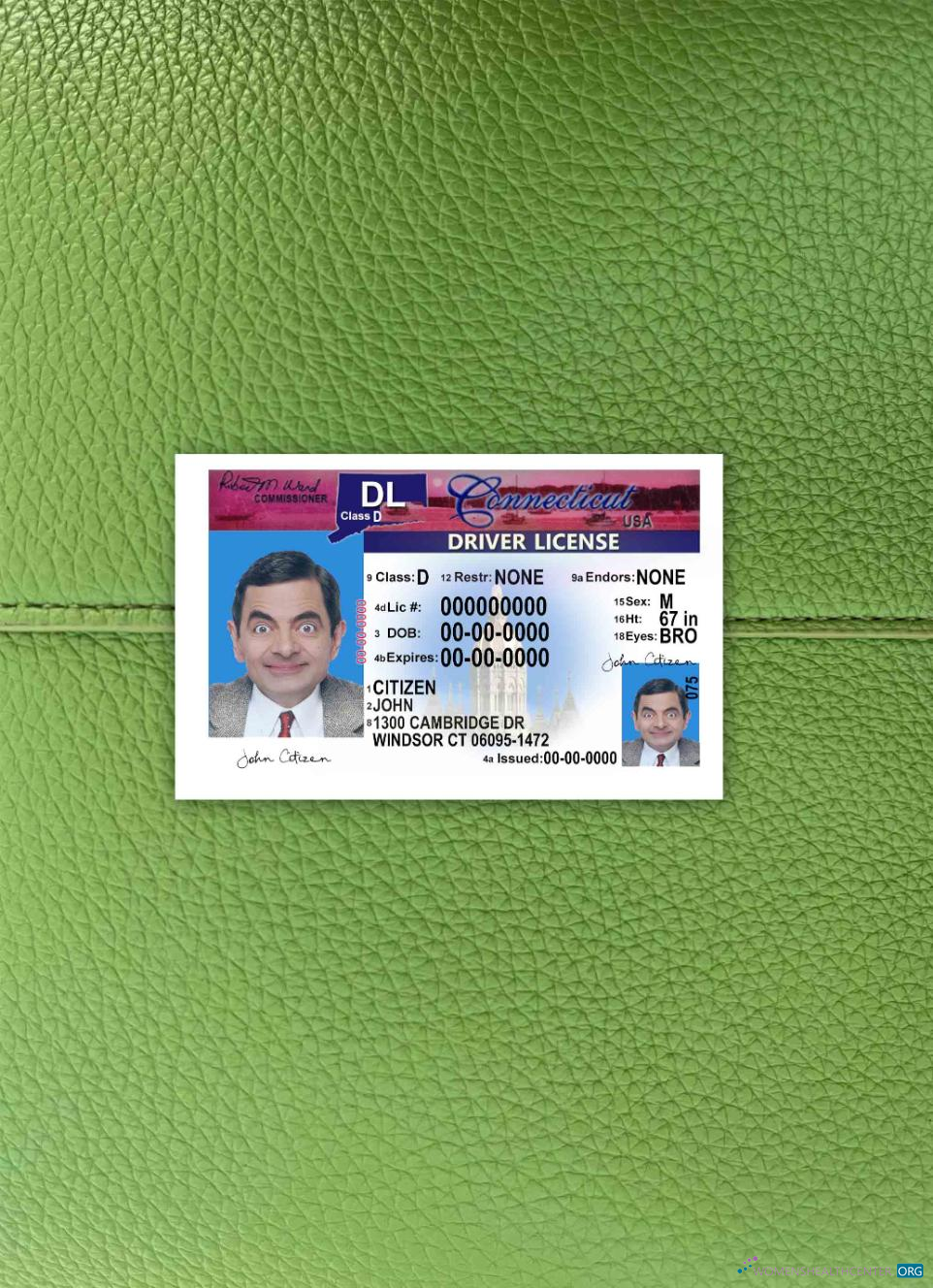 Download USA Connecticut driving license version 2 photolook FRONT Photoshop template